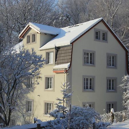 Pytloun Penzion Zeleny Haj Liberec Kültér fotó