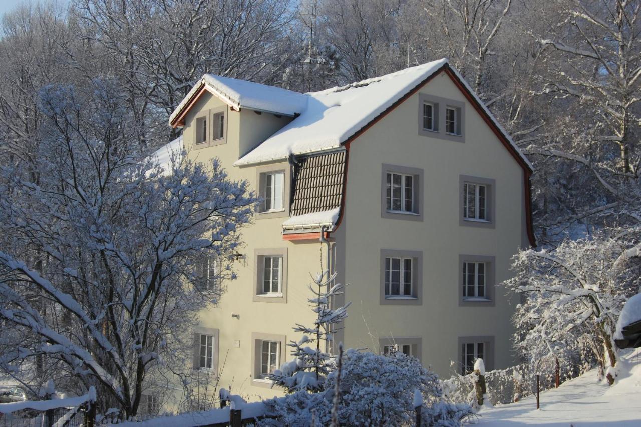 Pytloun Penzion Zeleny Haj Liberec Kültér fotó